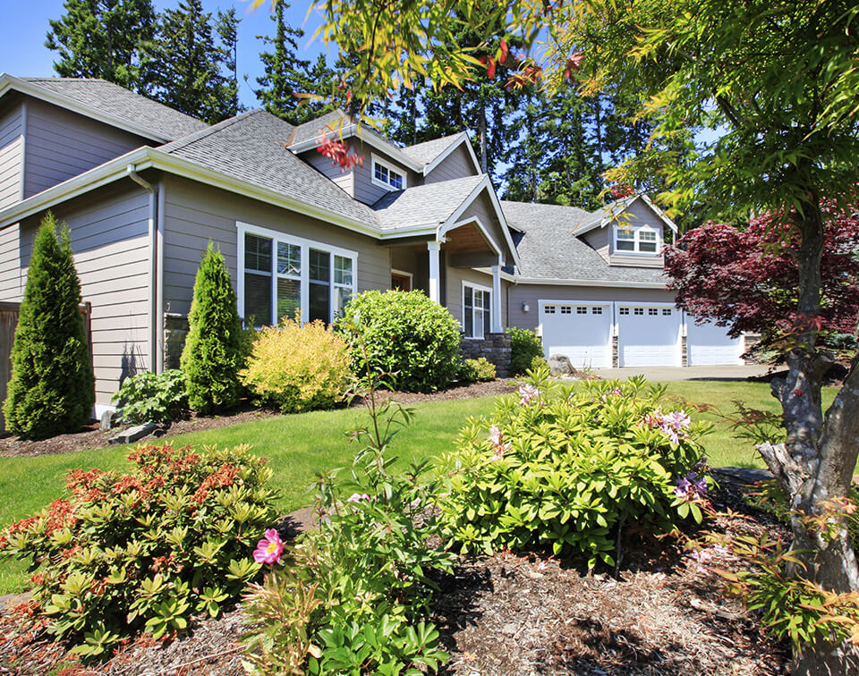 Lawn Care Services