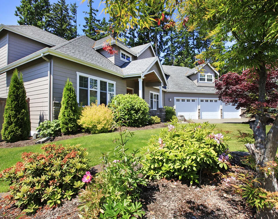 Lawn Care Services
