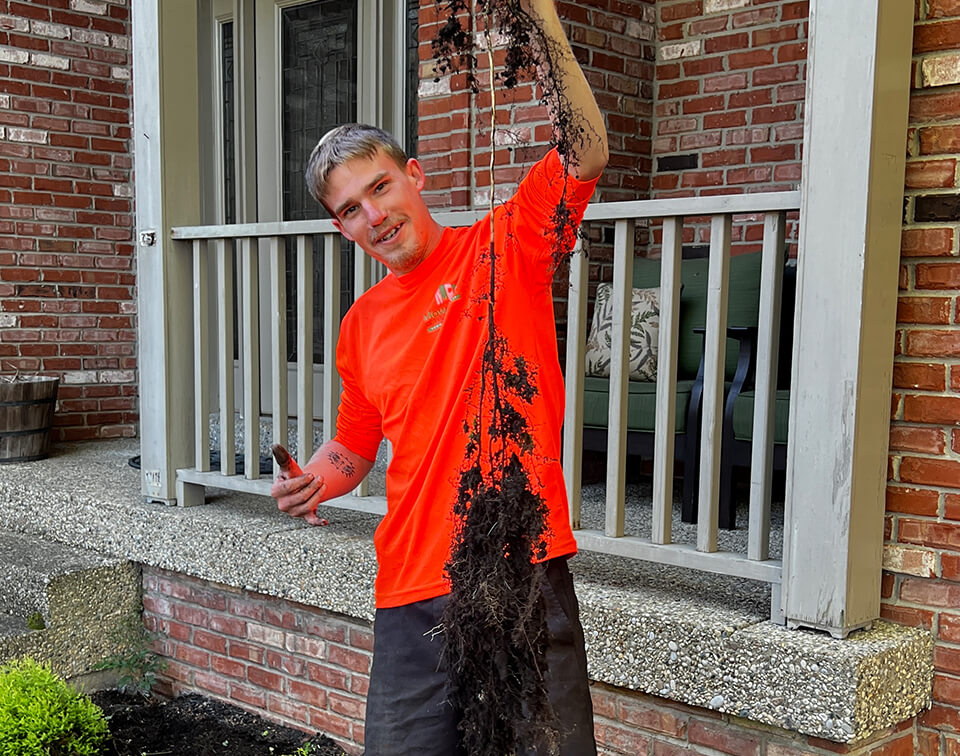 Landscaping Company